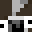 Suitable_'s head
