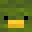 CrookedStudent's head