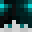 Ankit0op's head