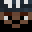 monkeyboy445's head