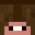 Eerial's head