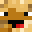 RoboPogromca's head