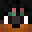 star_kilerr123's head