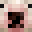 NottPenguinMC's head