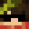 GamerBeyniMC's head