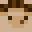 CrazyHedgehogBoy's head