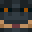 PenguinPinapple's head