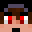 Sork's head
