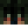 Diimunos's head