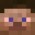 Versica's head