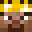 JustaScript's head