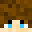 lisotastic's head