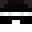 wspspeck's head