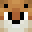 Willo2021's head