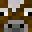 Brxndon0nJava's head