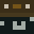 WindowsPlayz_'s head