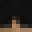 Levi2288's head
