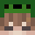 Jestertheturtle's head