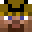 renagle's head