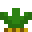 anass_q's head