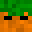 CarrotisCool's head