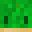 lego474's head