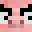 WiFiDro's head