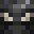 H390Dude's head