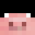 pigiiii's head