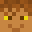DrexvenorTM's head