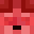 sakologo's head