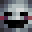 pineapplekid24's head