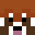 PyrFenix's head