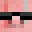 ProtThePig's head