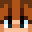 Brandini33's head