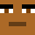 Pinochetista's head