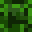 Ch4rles64's head