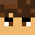 DippyCoder's head