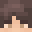 Bio_Dido's head