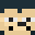 DevsTown's head