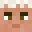 Talalispro's head