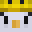 P1nguin's head