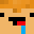 ZfrGray's head