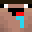 diglo's head