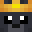 Tenable_duck2's head
