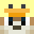 SavageTigerMC's head