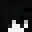 jvgt's head