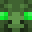 NinjaProPlayer's head