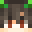 Brendon000's head