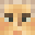 MrSeaMoose's head